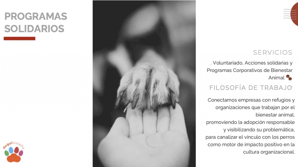 petsolidario
